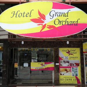 Grand Orchard Wings