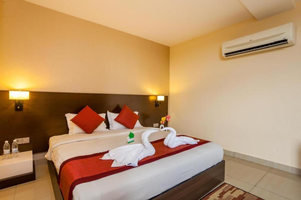 Hotel Club Dolphin - image 5