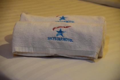 Sky Star Hotel KLIA/KLIA2 - image 18