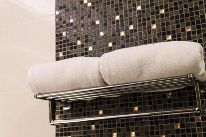 The 5 Elements Hotel - image 19