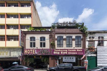 Rain Forest Hotel - image 20