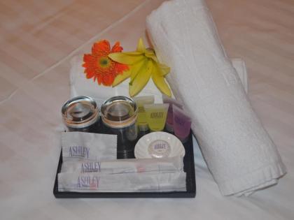Ashley Boutique Hotel - image 10