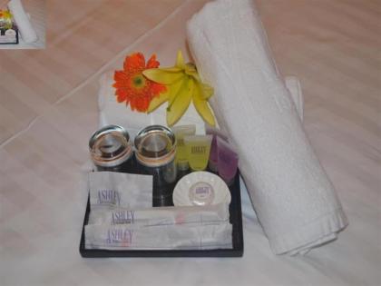 Ashley Boutique Hotel - image 19