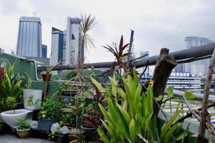 Birdnest Guesthouse Gaia Rooftop Cafe - image 18