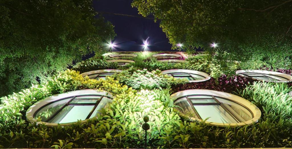 Flora by Crossroads Hotel - main image