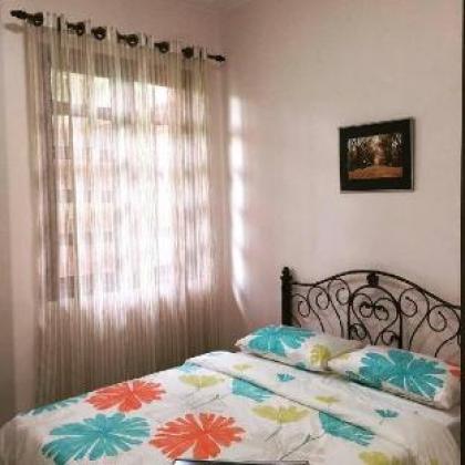 Orange HomeStay - image 3