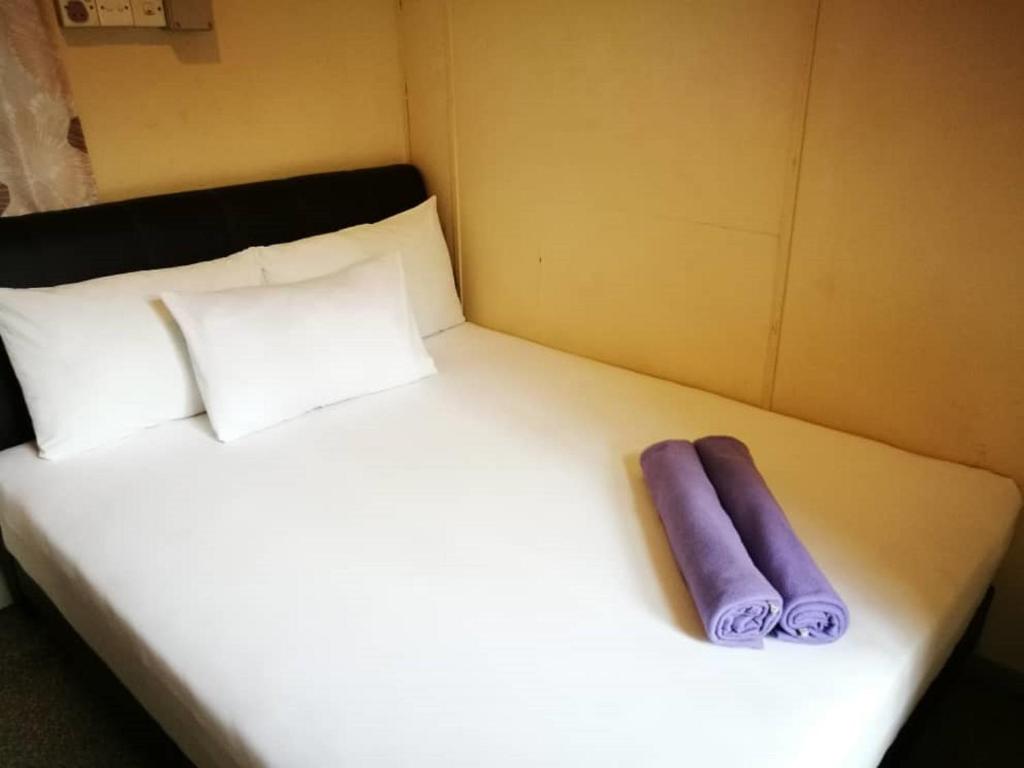 Grocer's inn backpackers guesthouse - image 4