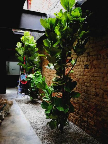 Tian Jing Hotel - image 2