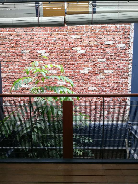 Tian Jing Hotel - image 3