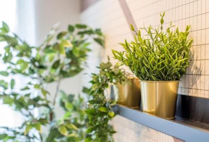 Vortex Suites_4 pax @ The Hub SS2 PJ - image 28